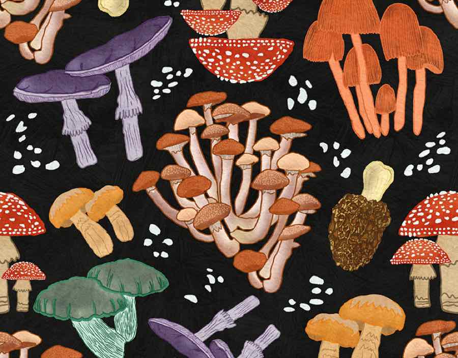 Magic Mushroom Print: painted mushrooms scattered on black