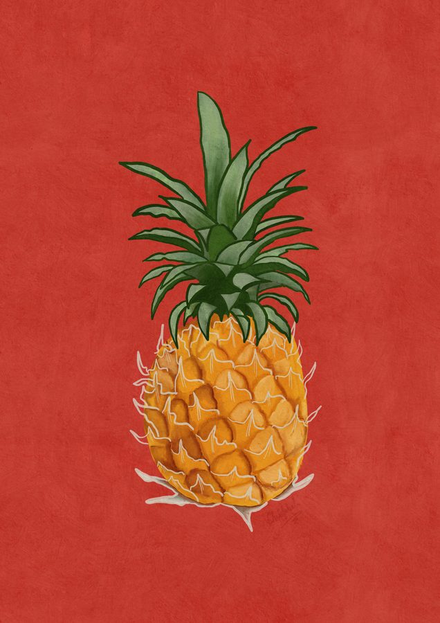 A gouache pineapple on a red ground