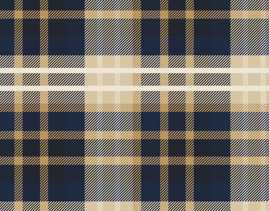 Plaid ʻr Us: navy, cream and tan plaid